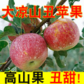 苹果水果丑苹果冰糖心大凉山新鲜水果红富士整箱产地包邮应季甜1