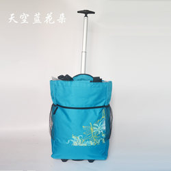 特价新款20寸轻便杆购物车便携旅行袋多功能大容量防水行李包保温