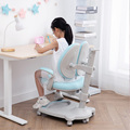 新品儿童学习椅写字椅座椅家用学生椅子矫正坐姿可升降书桌凳子可