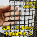 塑料网养殖网养鸡鸭网防护网护栏玉米塑料网格围栏网漏粪小孔户外