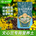 德沃多文心兰专用土香水兰花促开花营养土进口有机泥炭土家用盆栽