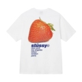 【海神】STUSSY 2022新款美版草莓巡游STRAWBERRY 短袖T恤TEE