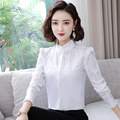 纯棉白色立领衬衫女长袖2023春秋新款韩版OL职业装修身打底上衣