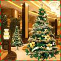 1.米51.8米2.1米2.4米3米装饰豪华加密套餐christmas tree