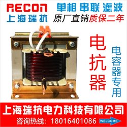 上海瑞抗电容器20kVar单相串联电抗器CKDG-1.2/0.25-6%无功分补偿