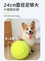 宠物狗狗玩具球独处解闷神器消耗体力网球十倍快乐球柯基泰迪玩具