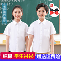 学生校服白衬衫短袖女