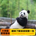 金牌说●成都大熊猫基地2.5H金牌导游讲解大咖解说趣味亲子团包团