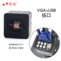 显微镜电子目镜VGA三用接显示器投影仪/HDMI高速相机无拖影通用