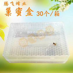 整套巢蜜盒500克 全透明塑料蜜盒 全透明巢蜜盒30个养蜂工具包邮