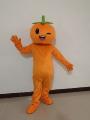 水果草莓卡通人偶服装橙子芒果桃子表演道具西瓜荔枝活动玩偶定制