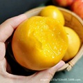 山东黄金油桃新鲜桃子当季水果直发应季脆甜黄肉蜜桃整箱发